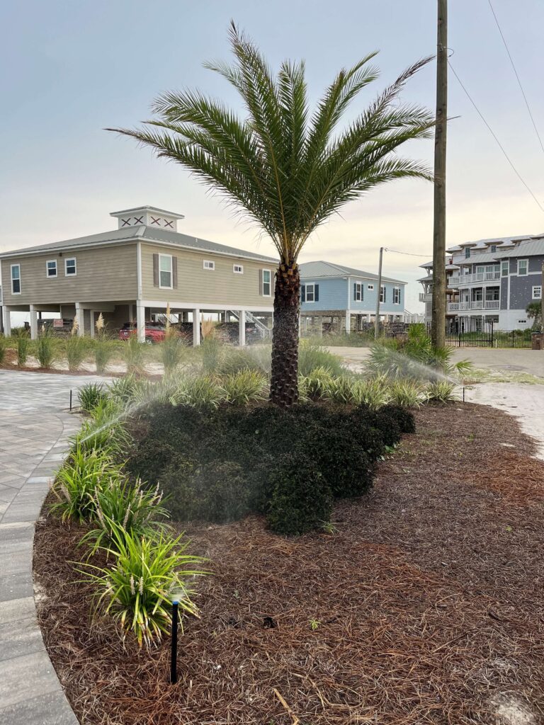 Cape San Blas irrigation installation